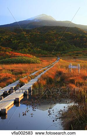 Ryugahara Wetlands, Akita Prefecture View Large Photo Image Stock Image - Ryugahara Wetlands, Akita Prefecture. Fotosearch