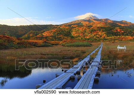 Ryugahara Wetlands, Akita Prefecture View Large Photo Image Stock Image - Ryugahara Wetlands, Akita Prefecture. Fotosearch