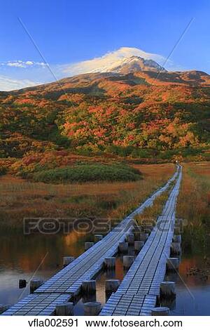 Ryugahara Wetlands, Akita Prefecture View Large Photo Image Stock Image - Ryugahara Wetlands, Akita Prefecture. Fotosearch
