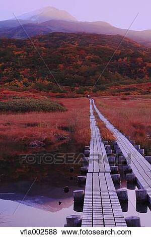 Ryugahara Wetlands, Akita Prefecture View Large Photo Image Stock Photo - Ryugahara Wetlands, Akita Prefecture. Fotosearch