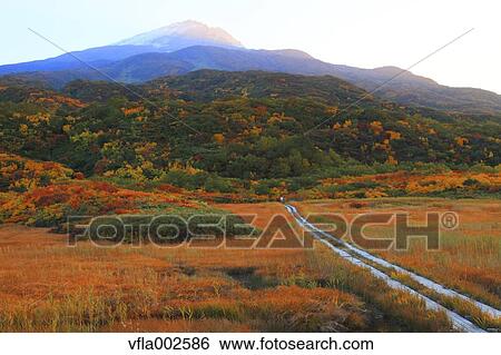 Ryugahara Wetlands, Akita Prefecture View Large Photo Image Stock Photograph - Ryugahara Wetlands, Akita Prefecture. Fotosearch