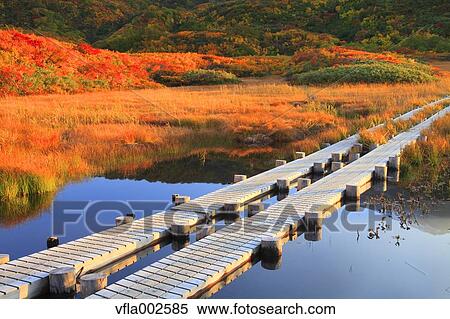 Stock Photography - Ryugahara Wetlands, Akita Prefecture. Fotosearch