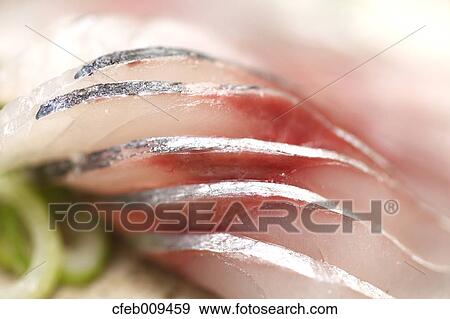 Stock Photo - Sashimi. Fotosearch