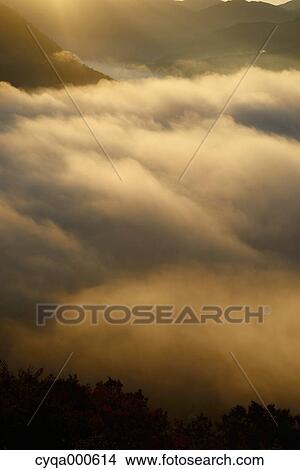 Picture - Sea of clouds. Fotosearch