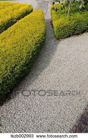 Shrubbery View Large Photo Image Stock Image - Shrubbery. Fotosearch