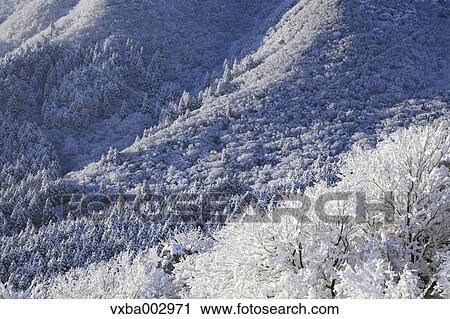 Snow at Izu Peninsula, Shizuoka Prefecture View Large Photo Image Stock Image - Snow at Izu Peninsula, Shizuoka Prefecture. Fotosearch