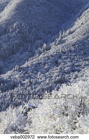 Snow at Izu Peninsula, Shizuoka Prefecture View Large Photo Image Stock Image - Snow at Izu Peninsula, Shizuoka Prefecture. Fotosearch