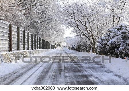 Snow at Izu Peninsula, Shizuoka Prefecture View Large Photo Image Stock Image - Snow at Izu Peninsula, Shizuoka Prefecture. Fotosearch