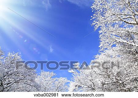 Snow at Izu Peninsula, Shizuoka Prefecture View Large Photo Image Stock Image - Snow at Izu Peninsula, Shizuoka Prefecture. Fotosearch
