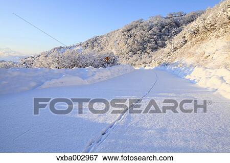 Snow at Izu Peninsula, Shizuoka Prefecture View Large Photo Image Stock Photo - Snow at Izu Peninsula, Shizuoka Prefecture. Fotosearch