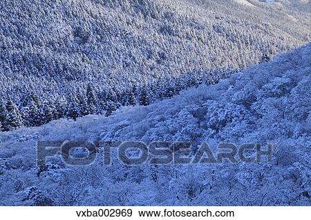 Snow at Izu Peninsula, Shizuoka Prefecture View Large Photo Image Stock Photo - Snow at Izu Peninsula, Shizuoka Prefecture. Fotosearch