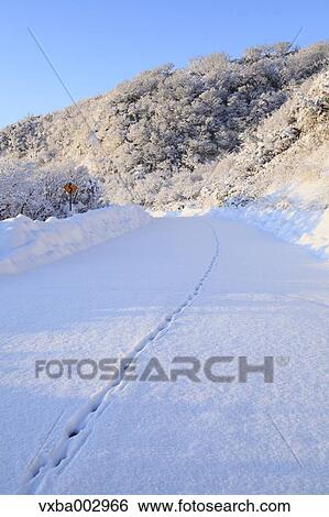 Snow at Izu Peninsula, Shizuoka Prefecture View Large Photo Image Stock Photograph - Snow at Izu Peninsula, Shizuoka Prefecture. Fotosearch