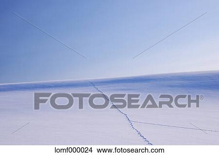 Snow in Hokkaido, Japan View Large Photo Image Picture - Snow in Hokkaido, Japan. Fotosearch