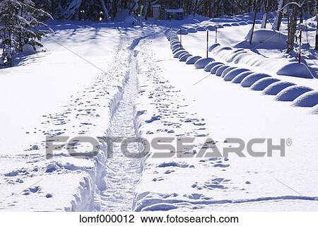 Snow in Hokkaido, Japan View Large Photo Image Stock Image - Snow in Hokkaido, Japan. Fotosearch