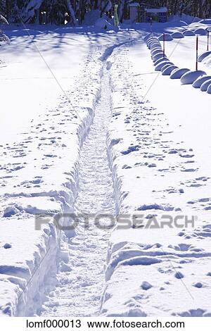 Snow in Hokkaido, Japan View Large Photo Image Stock Image - Snow in Hokkaido, Japan. Fotosearch