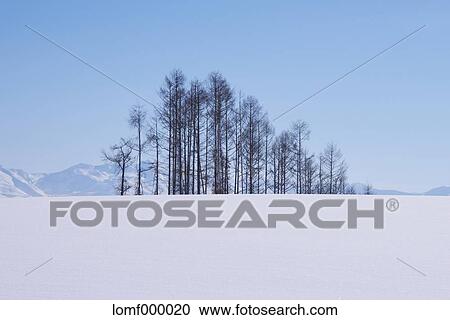 Snow in Hokkaido, Japan View Large Photo Image Stock Image - Snow in Hokkaido, Japan. Fotosearch