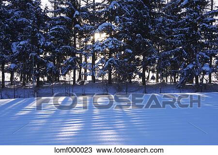 Snow in Hokkaido, Japan View Large Photo Image Stock Image - Snow in Hokkaido, Japan. Fotosearch
