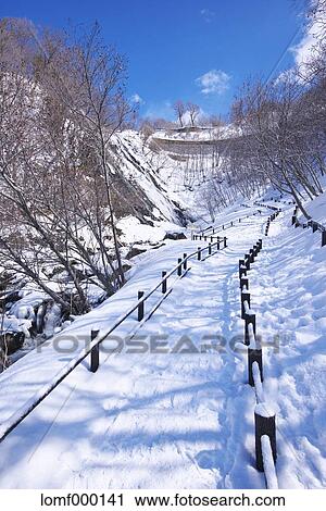 Snow in Hokkaido, Japan View Large Photo Image Stock Image - Snow in Hokkaido, Japan. Fotosearch