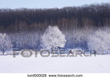 Stock Photo - Snow in Hokkaido, Japan. Fotosearch