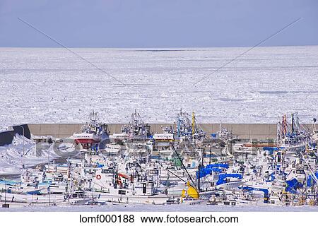 Snow in Hokkaido, Japan View Large Photo Image Stock Photo - Snow in Hokkaido, Japan. Fotosearch