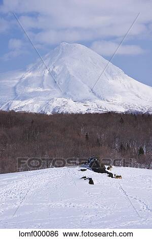 Snow in Hokkaido, Japan View Large Photo Image Stock Photograph - Snow in Hokkaido, Japan. Fotosearch