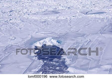 Stock Photograph - Snow in Hokkaido, Japan. Fotosearch