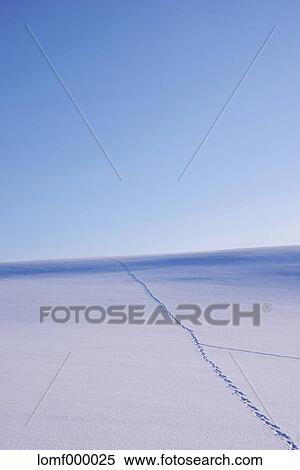 Stock Photography - Snow in Hokkaido, Japan. Fotosearch