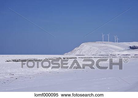 Snow in Hokkaido, Japan View Large Photo Image Stock Photography - Snow in Hokkaido, Japan. Fotosearch