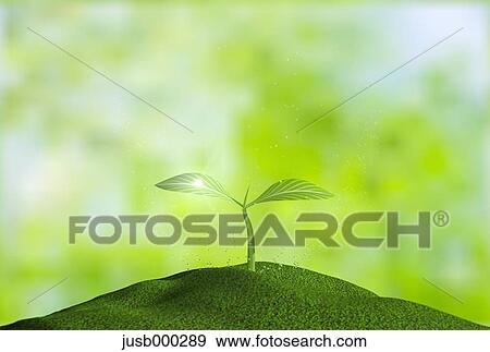 Stock Photo - Sprouting leaves. Fotosearch