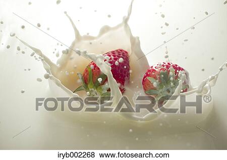 Strawberries and milk View Large Photo Image Stock Photo - Strawberries and milk. Fotosearch