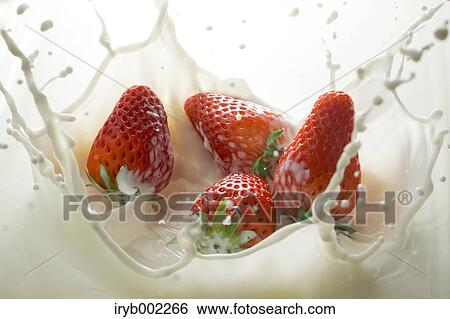 Strawberries and milk View Large Photo Image Stock Photograph - Strawberries and milk. Fotosearch