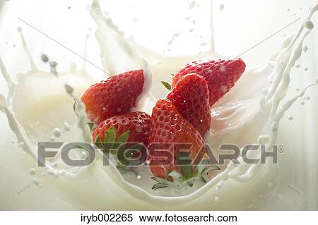 Strawberries and milk View Large Photo Image Stock Photography - Strawberries and milk. Fotosearch