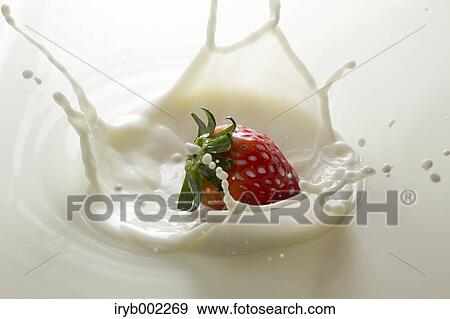Strawberry and milk View Large Photo Image Stock Photo - Strawberry and milk. Fotosearch