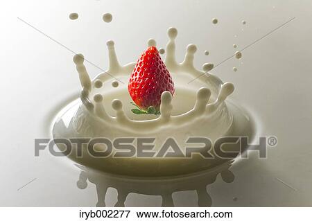 Strawberry and milk View Large Photo Image Stock Photo - Strawberry and milk. Fotosearch