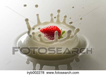 Stock Photo - Strawberry and milk. Fotosearch
