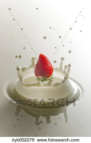 Strawberry and milk View Large Photo Image Stock Photo - Strawberry and milk. Fotosearch