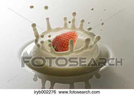 Strawberry and milk View Large Photo Image Stock Photograph - Strawberry and milk. Fotosearch