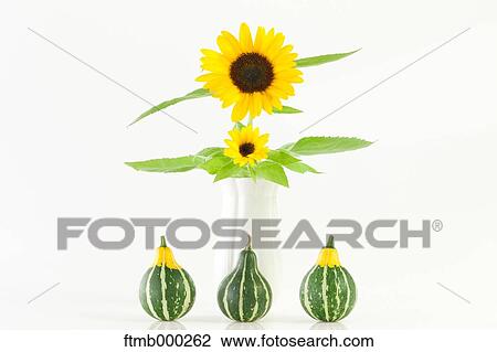 Stock Image - Sunflowers and pumpkins. Fotosearch