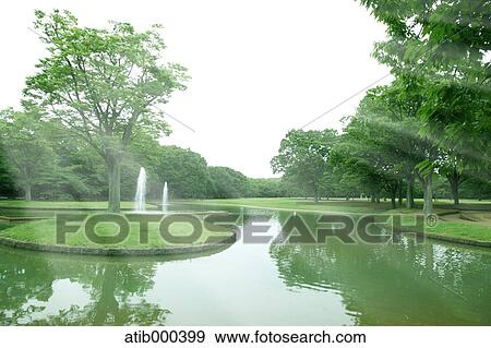Stock Photo - Sunlight and fresh green. Fotosearch