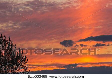 Stock Photo - Sunset. Fotosearch