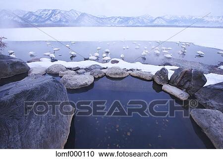 Swans in Hokkaido, Japan View Large Photo Image Stock Image - Swans in Hokkaido, Japan. Fotosearch