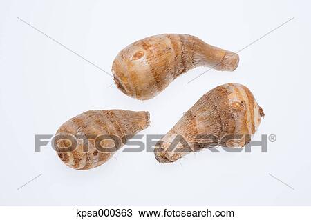 Taro potatoes View Large Photo Image Stock Image - Taro potatoes. Fotosearch