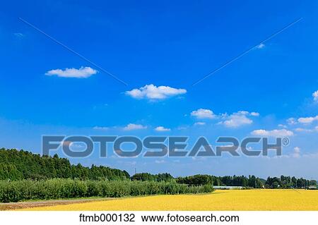 Tochigi Prefecture, Japan View Large Photo Image Stock Image - Tochigi Prefecture, Japan. Fotosearch