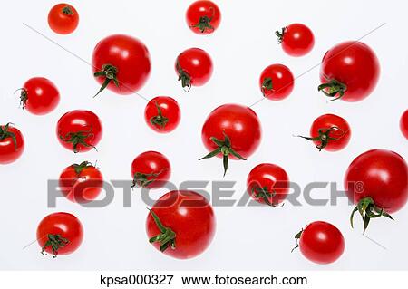 Tomatoes View Large Photo Image Stock Photo - Tomatoes. Fotosearch