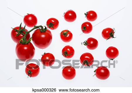 Tomatoes View Large Photo Image Stock Photograph - Tomatoes. Fotosearch