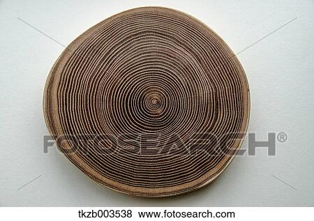 Tree timber View Large Photo Image Stock Photo - Tree timber. Fotosearch
