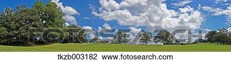 Stock Image - Trees and sky. Fotosearch
