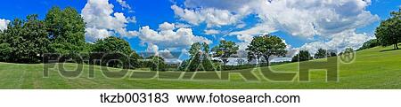Stock Image - Trees and sky. Fotosearch