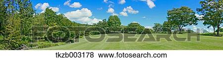 Stock Photo - Trees and sky. Fotosearch