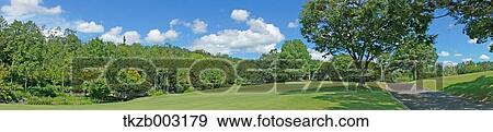 Stock Photo - Trees and sky. Fotosearch